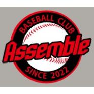 ASSEMBLE(어셈블) 팀 로고
